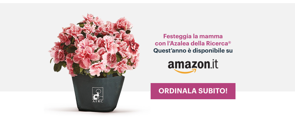 Azalea Airc disponibile su Amazon